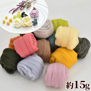 r tFg 15g PF S13F  ޗ f Jt E[ rюhJ hJ rуtFg l`  }XRbg L  S ʂ nhCh |  Aj} 
