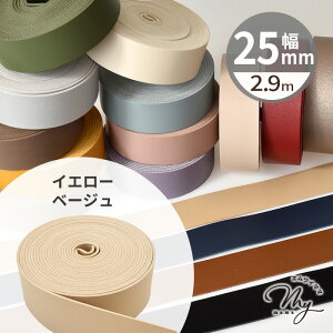 yő700~OFFN[|z e[v 25mm 2.9m S16F  v 2.5cm tFCNU[ R[h V{  v e[v  xg obO V_[ ybg Xgbv { ANZ