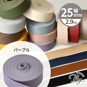 yő700~OFFN[|z e[v 25mm 2.9m S16F  v 2.5cm tFCNU[ R[h V{  v e[v  xg obO V_[ ybg Xgbv { ANZ