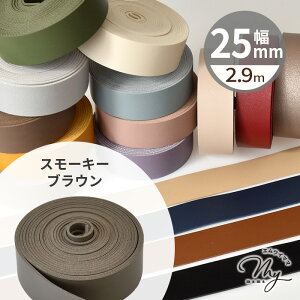 yő700~OFFN[|z e[v 25mm 2.9m S16F  v 2.5cm tFCNU[ R[h V{  v e[v  xg obO V_[ ybg Xgbv { ANZ