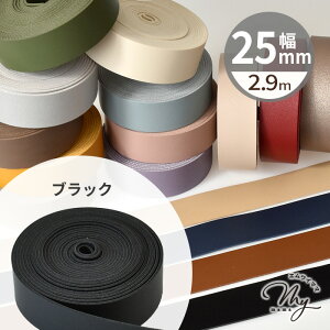  e[v 25mm 2.9m S16F  v 2.5cm tFCNU[ R[h V{  v e[v  xg obO V_[ ybg Xgbv { ANZT[ nhCh 
