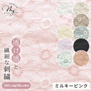 hJ n GuC_[ S10F }[Kbg C[  Y [Xn [ Gu[X  Rbg ԕ t[ hイ z 100 uEX s[X nhCh p