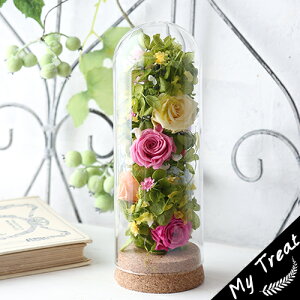 LfB[[Ys[ vU[uht[ t[ t[Mtg LO ~jo Jt uU[ht|  Mtg j Vzj a u  j