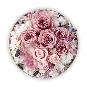 yS2zV vU[uht[ {bNXt[  j t[Mtg LO vU[ht[ uU[ht| G}Hv[g P[X ԃMtg 