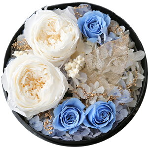 hD t[Mtg LO hD {bNXt[ vU[ht[ uU[ht| G}Hv[g P[X ԃMtg j Vzj a  j v