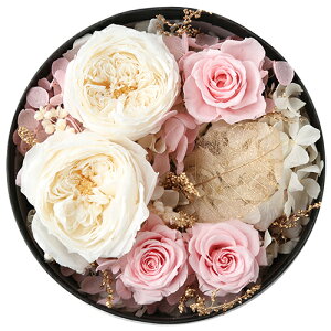 �h�D�� �t�����[�M�t�g �����L�O�� �h�D�� �{�b�N�X�t�����[ �v���U�[�h�t�����[ �u���U�[�h�t�����| ���G�}���H�v���[���g �P�[�X���� �ԃM�t�g �����j �V�z�j ���a���� ���� ���j�� �v��