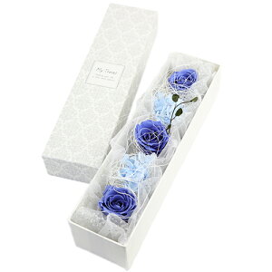 G^[iEu[E{bNXs6t vU[uht[ Mtg {bNXt[ ̓ a v[g LO ސEj j hV̓ NX}X v|[Y  