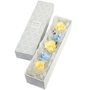 G^[iEu[E{bNXs6t vU[uht[ Mtg {bNXt[ ̓ a v[g LO ސEj j hV̓ NX}X v|[Y  