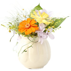 ytFA[|bg Iׂ2FzWjA vU[uht[ AW NAP[X j a Vzj t[Mtg