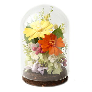 tFA[h[ CeAO[ WjA j t[Mtg vU[uht[ Mtg vU[ht[ uU[ht| j LO a j Vj Vzj 