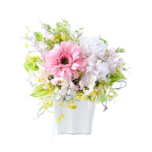 yS2zK[xC vU[uht[ t[Mtg Mtg vU[uht[ CeA vU[ht[ uU[ht| j LO a j Vj 