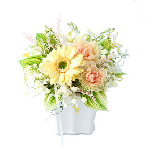 yS2zK[xC vU[uht[ t[Mtg Mtg vU[uht[ CeA vU[ht[ uU[ht| j LO a j Vj 