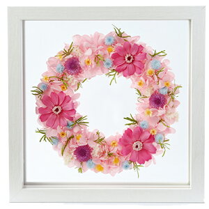 ���U�y3�F�z �v���U�[�u�h�t�����[ �K���X�t���[�� ���j�� �t�����[�M�t�g �����L�O�� �t�F�~�j�� �u���U�[�h�t�����| �� �M�t�g �X�P���g�� �t���[�� �����j �V�z�j ���a���� �u��