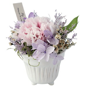 yyeB[gICG zJ[l[ṼvU[uht[ L|bgAWy̓ a j Vzj Mtgz