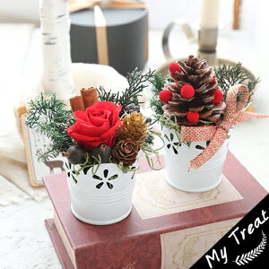 NX}XE[YZbgs2ZbgtNX}X  Ԃo Ԃ i` CeA ~fR[V ڂ Rf