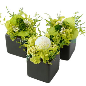 yS2zv`O[ y3Zbgz t[Mtg LO Mtg vU[uht[ CeA vU[ht[ uU[ht| j a j Vj Vzj J