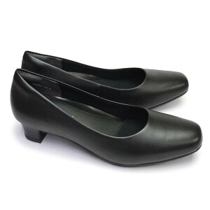 ANAfB fB[X pvX A8040 {v 4E L  AQUA LADY