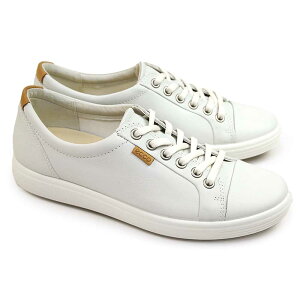 GR[ C U[Xj[J[ fB[X 430003 GR[\tg 7 W L EH[LOV[Y {v JWAV[Y ECCO SOFT 7 W