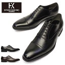 ヒロココシノ オム by マドラス ビジネスシューズ レザー ロングノーズ メンズ 紳士靴 HR5001 ストレートチップ 本革 メンズ 内羽根 冠婚葬祭 HIROKO KOSHINO HOMME