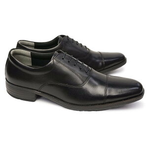 [X^[ C rWlXV[Y BW4601 Xg[g`bv y {v Y U[ oX[NX ꕶ R L Moonstar