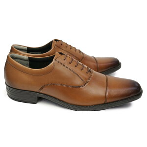 [X^[ C rWlXV[Y BW4601 Xg[g`bv y {v Y U[ oX[NX ꕶ R L Moonstar