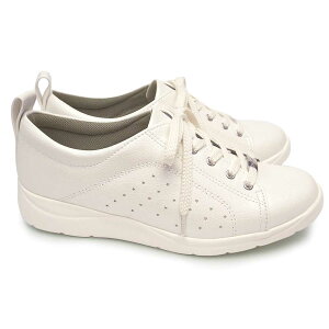 pW[ fB[XXj[J[ 1376 y RۖhLH RtH[gV[Y EH[LO Pansy