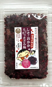 しそおかか カリカリきざみ梅 ウエットタイプ 国産梅 国産紫蘇 国産鰹節 美味しいおにぎりの素