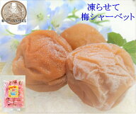 梅シャーベット　紀州産南高梅・はちみつ梅　塩分約3％　150g　・65g　凍らして梅シャーベット　梅干し（…