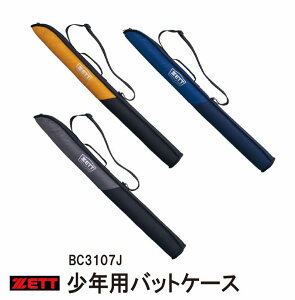 싅 y[bgzyizNpobgP[X1{ BC3107J@  ZETTy߃ACeځz