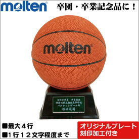 楽天市場 バスケ サインボール 名入れの通販
