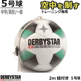 楽天市場 サッカーボール Jリーグ 公式試合球の通販