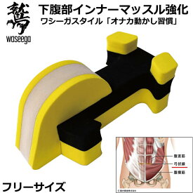 ワシーガスタイル（下腹部インナーマッスル強化フィットネス・トレーニングギア）ぽっこりオナカ改善「オナカ動かし習慣」【 ナカジマスポーツ 】下腹部腹筋 腸内環境株式会社【 ナカジマスポーツ 】