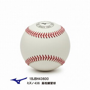 MIZUNO �~�Y�m�d���p 1BJBH43600 �~�Y�m436 ���Z���K���i1�_�[�X�j �싅 �d���{�[�� 12���� ���蕨�^���ƋL�O�^���K���^������^�v���[���g�^���b�s���O�Ή��y �i�J�W�}�X�|�[�c �z