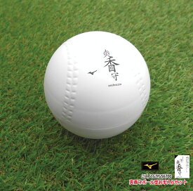野球：【ミズノ】爽香守ボール型ケース入りお手入れセット（オールインワンクリーナー） 1GJYG56700【おすすめアイテム満載】