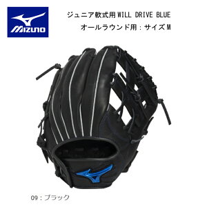 y\񏤕i25N12\z~Ym 싅 O[u WjApWILL DRIVE BLUEI[Ehp TCYMy싅z1AJGY3472009y^tz