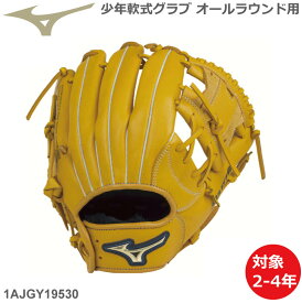 楽天市場 型付け ソフトボール グローブの通販