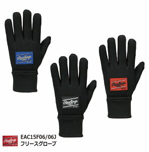 [OX t[XO[u EAC15F06 싅  IV/N/h/X}zΉylR|Xzy iJW}X|[c z