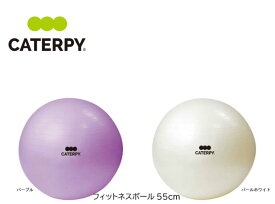 caterpy キャタピー フィットネスボール55cm CF-007、CF-008 体幹 筋トレ ツインズ キャタピー トレーニング エクササイズ ダイエット 筋トレ 体感トレーニング リハビリ【おすすめアイテム満載】