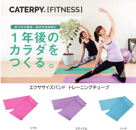 caterpy エクササイズバンド シート状のゴムバンドで自由自在 ソフト ミディアム ヘビー ツインズ キャタピー ゴムバンド トレーニング 握りやすい ダイエット【※メール便送対応】【 ナカジマスポーツ 】