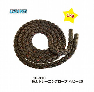 싅FEUlbg@g[jO[v1000gig[jOWsO[vj10910@yȂƂсzyɒn[hzZ`ʂɂ߁y iJW}X|[c z