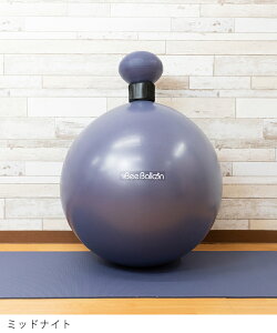 caterpy L^s[ Bee Ballon r[o[ BBL-002 ̊ ؃g TWINS cCY g[jO GNTTCY _CGbg ƃg nr ^s S҂㋉҂܂ n WbL[ 