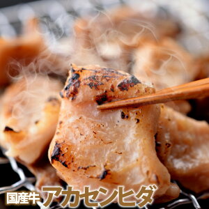  䒆 BBQ j@Mtg v[g a  Y AJZq_ 300g MA 󂠂 ē o[xL[  z ǂ zĂ