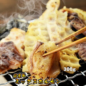 z  䒆 BBQ j@Mtg v[g a  Y ~bNXz 300g ē o[xL[  z ǂ zĂ  Ԍ 