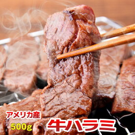 父の日 内祝　ギフト プレゼント 誕生日 牛肉 US ハラミ 500g 横隔膜 焼肉 バーベキュー