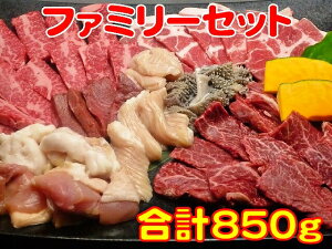 Ε Ε BBQ j@Mtg v[g a  t@~[Zbg Jr200g n~200g ؃[X100g {100g z50g 咰50g Z}C50g V]E50g ~m50g ē o[xL