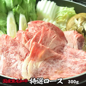  䒆 j@Mtg v[g a  Yјa I [X 300g Ԃ ₫ Ă Ε  䒆 j@Mtg v[g a Mtg 