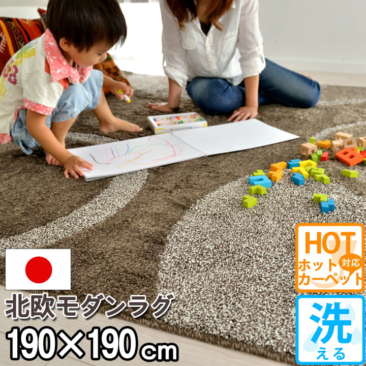 楽天市場 完売 カーペット 床暖対応 ラグ 洗える 約2畳 アレルギー対策 おしゃれ ホットカーペット対応 ミックス モダン リビング 北欧 なかね家具 オールシーズン 防ダニ 柄 シャギー 赤ちゃん 日本製 茶色 マット 激安 サークル ペット 絨毯 抗菌 ブラウン 190 190