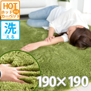 �z�b�g�J�[�y�b�g�Ή� ��2�� �J�o�[ �J�[�y�b�g �ЂƂ��炵 1R 1K �ӂ�ӂ� ����[���� �V���M�[ ���O ���� 190×190 ���m�g�[�� �􂦂� �ё� ���� �}�b�g �� �O���[�� ���� �l�C ���� �H�~�p ��