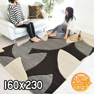 C|[gO N₩ȃ_fUCO}bg 160×230 2.2 J[ybg O zbgJo[Ή g[Ή BALTA PICASSO 5394960 O[xubN A O J[ybg IVCeA