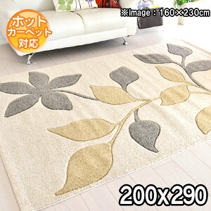 C|[gO [tfUC O IVȃ_fUC O 200×290 3.5 q sI fUC O ANZgO J[ybg O BALTA PICASSO 5386060 AC{[modern gaybaz